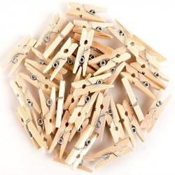 Bamboo Clip 20 pcs